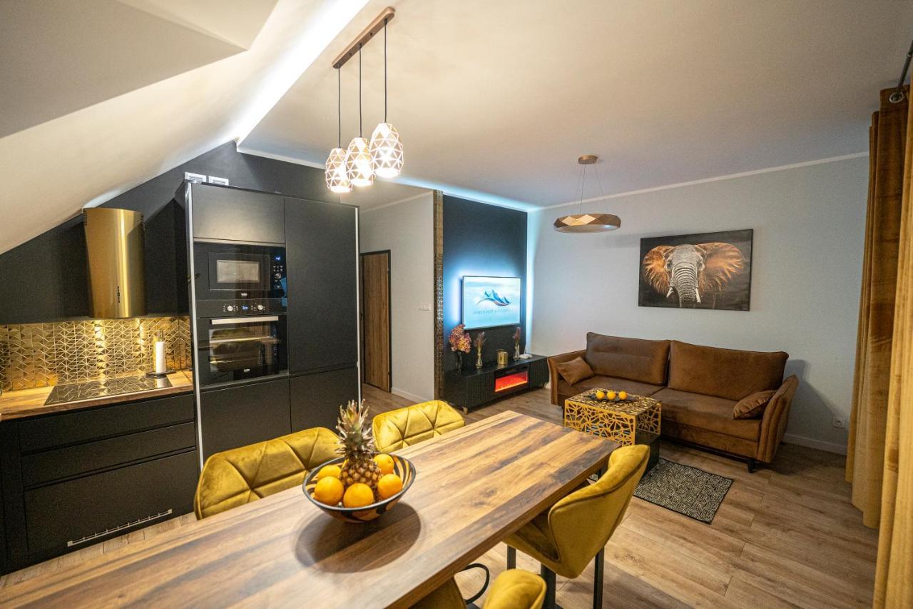 Apartament W Cieplicach Panorama イェレニャ・グーラ エクステリア 写真